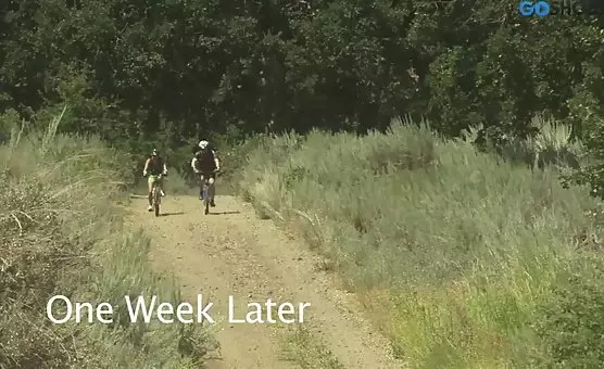 Camping Orgy with Cyclists